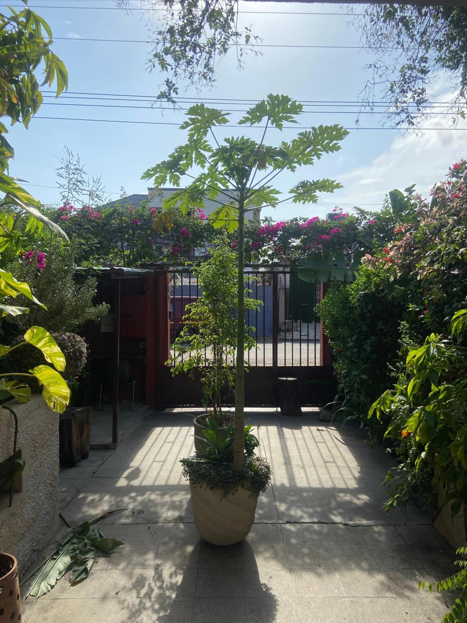 Hechtech House Lejlighed Accra Eksteriør billede