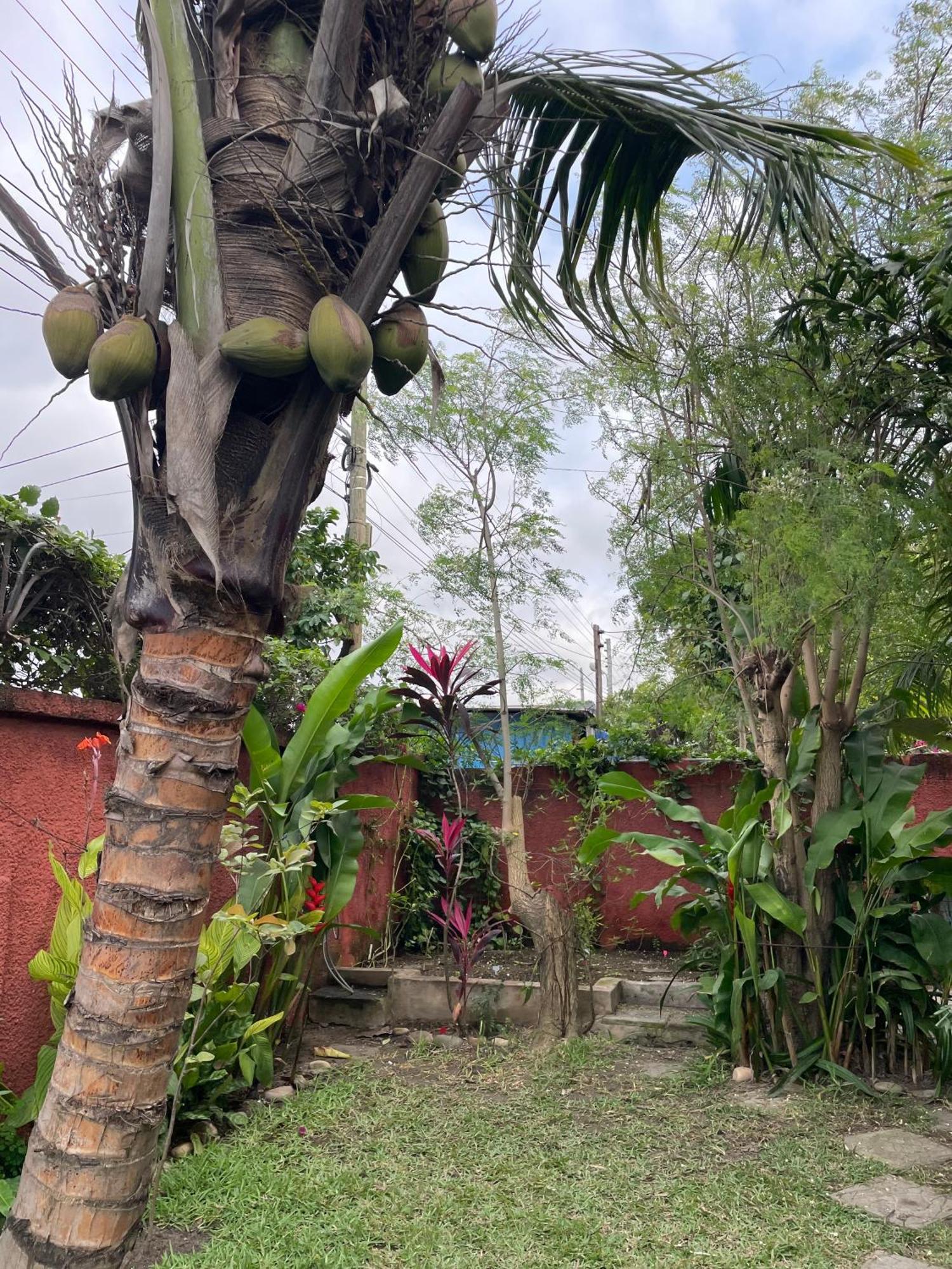 Hechtech House Lejlighed Accra Eksteriør billede