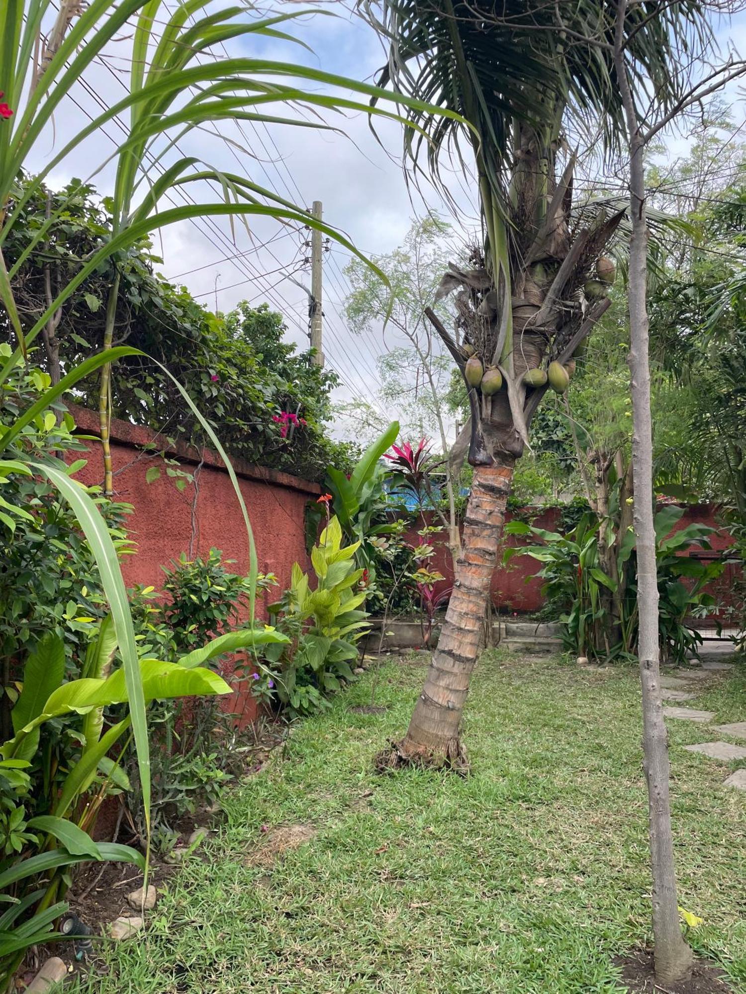 Hechtech House Lejlighed Accra Eksteriør billede